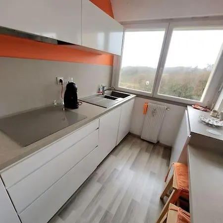 Bel Face Et Pinede Appartement